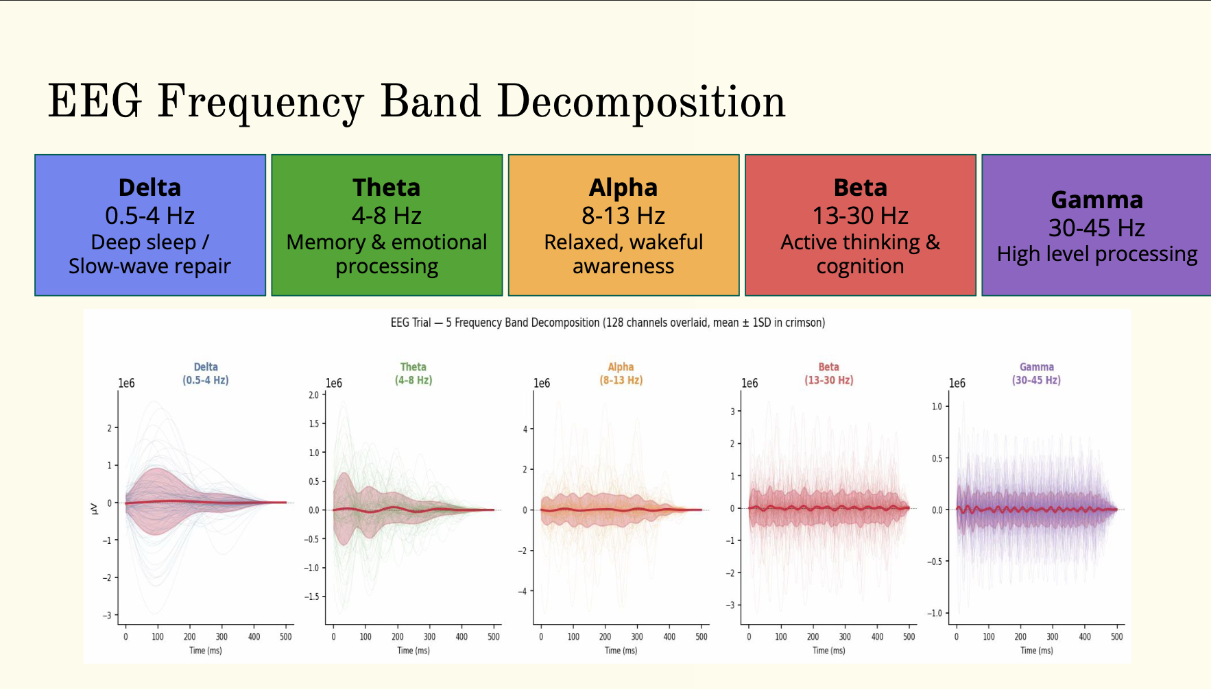 EEG frequency band decomposition